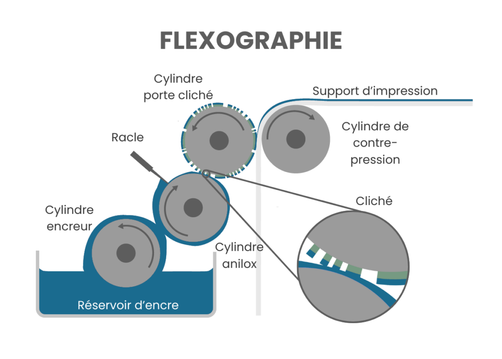 Flexographie : tout savoir sur cette méthode d'impression