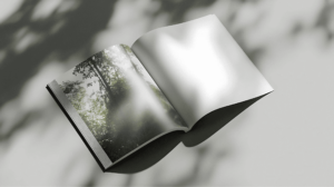 FSC®, PEFC la signification de ces certifications