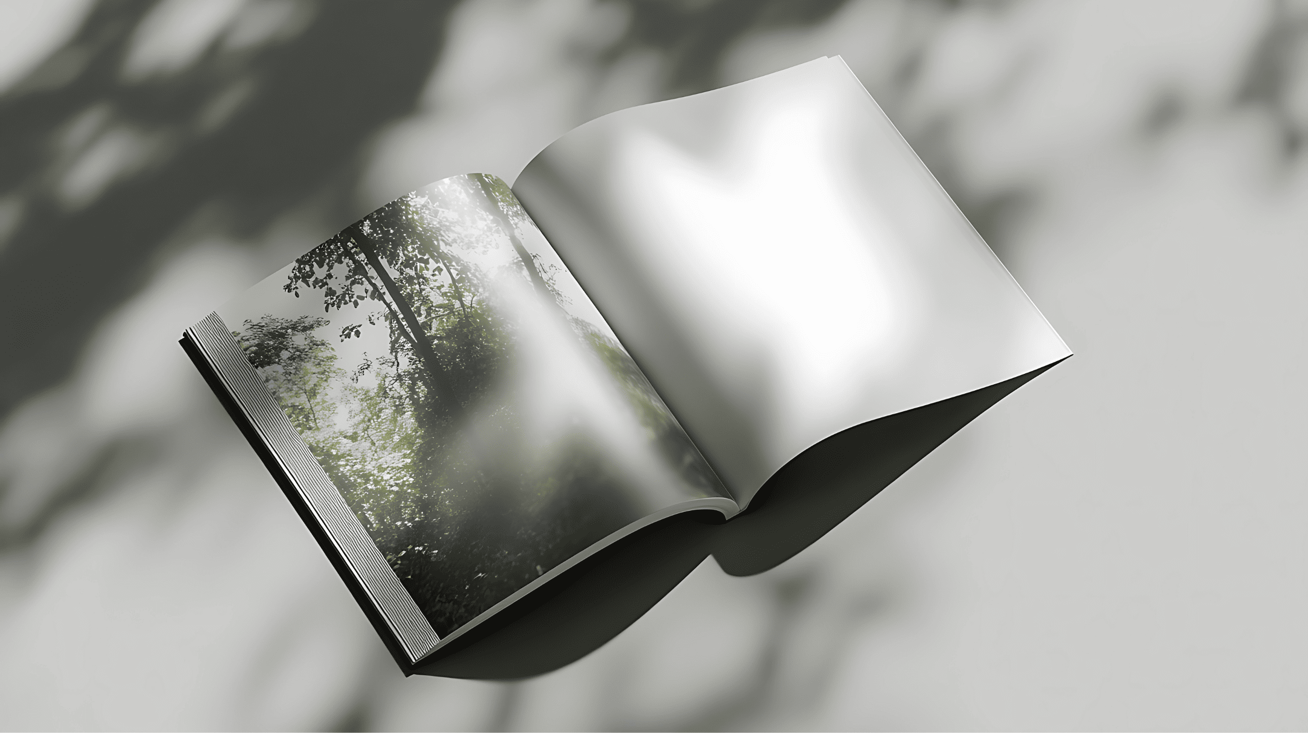FSC®, PEFC la signification de ces certifications