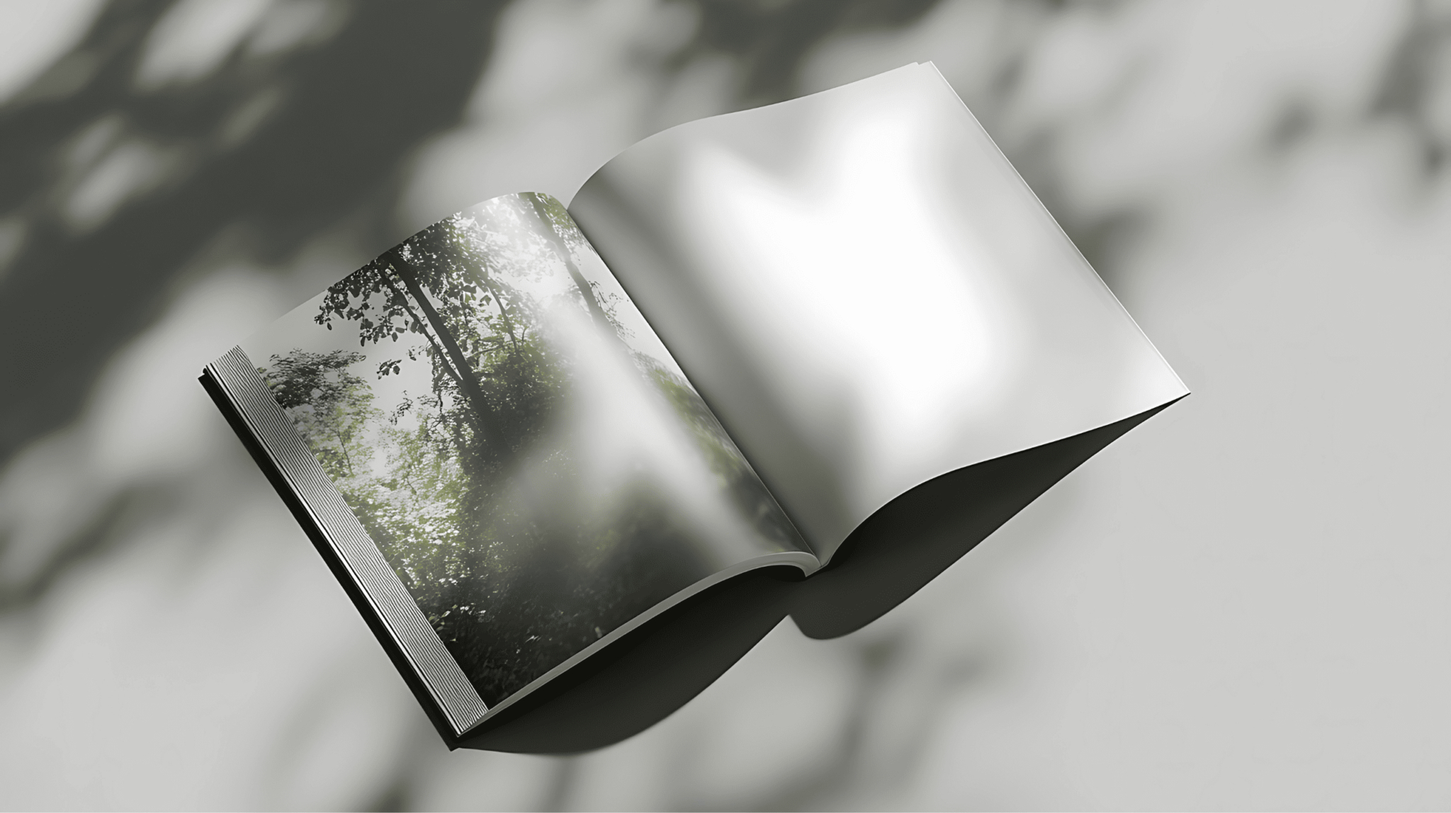 FSC®, PEFC la signification de ces certifications